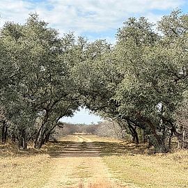 Schubert Road